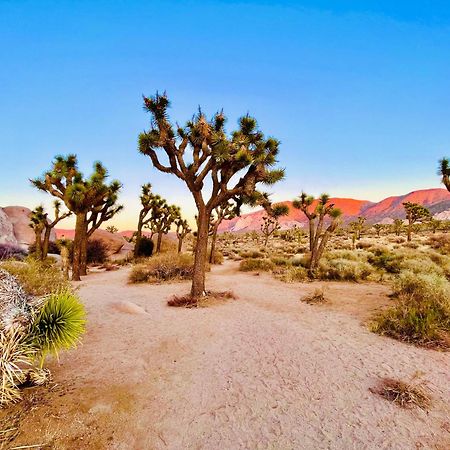 Willa The Joshua Tree House Zewnętrze zdjęcie