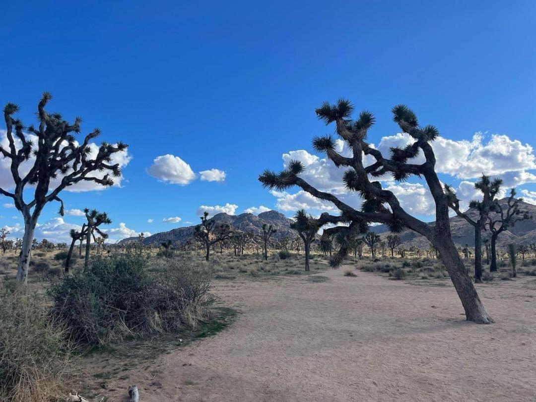 Willa The Joshua Tree House Zewnętrze zdjęcie